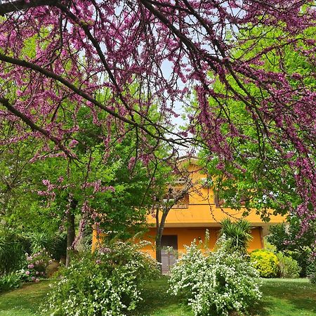 Il Parco Holiday - Locazione Turistica Fonte Nuova Exteriér fotografie
