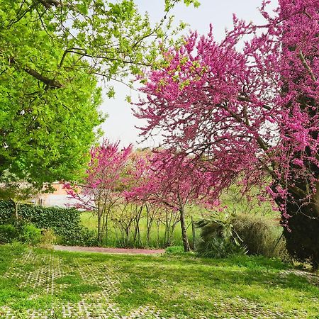 Il Parco Holiday - Locazione Turistica Fonte Nuova Exteriér fotografie