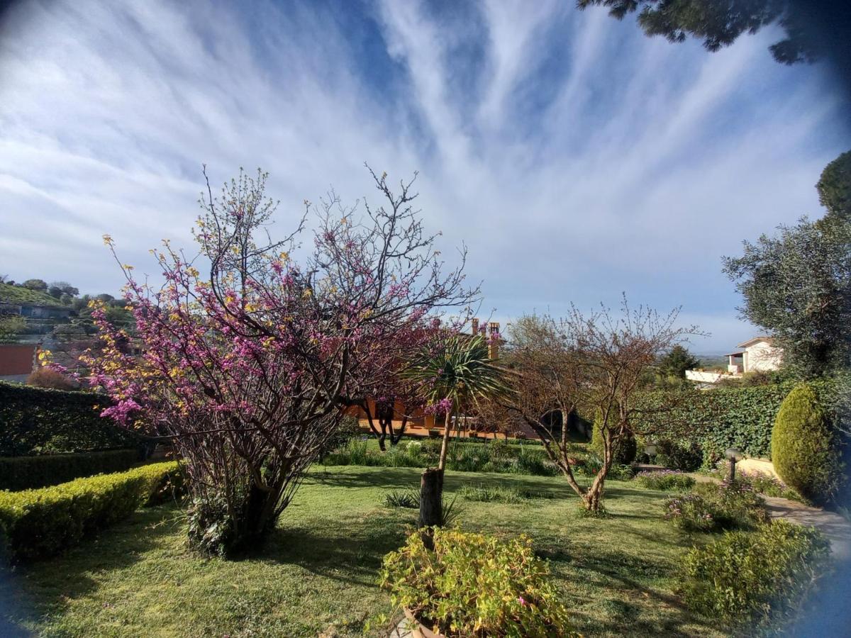 Il Parco Holiday - Locazione Turistica Fonte Nuova Exteriér fotografie