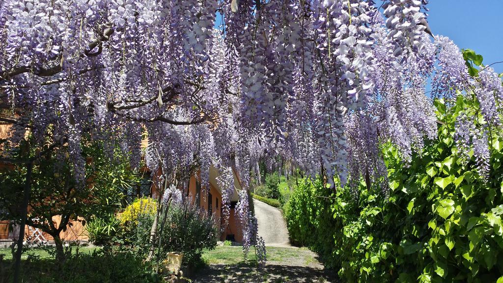 Il Parco Holiday - Locazione Turistica Fonte Nuova Exteriér fotografie